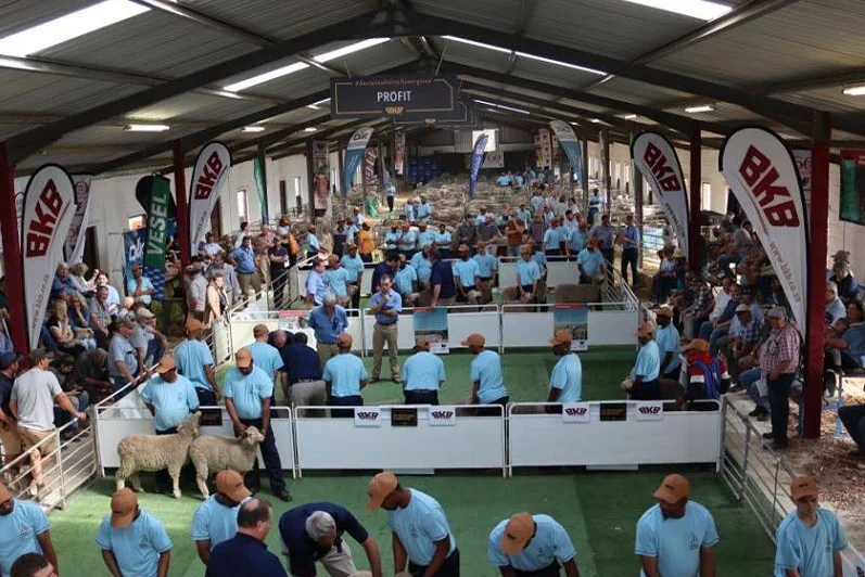 南非农机展2026门票哪里买