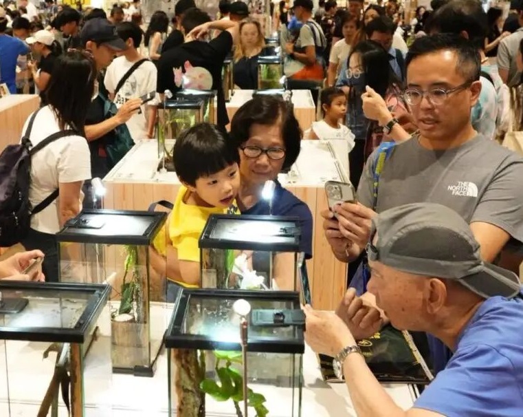香港优质宠物用品展参展商名单