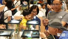 香港优质宠物用品展参展商名单