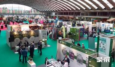 2025荷兰花卉园艺展展品有哪些?