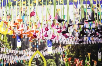 2025上海花卉园艺展参展攻略（时间+地点+观众预约）