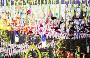 2027上海花卉园艺展(Hortiflorexpo IPM Shanghai )展品范围有哪些？