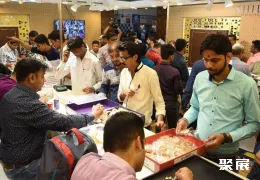 新德里珠宝展现场图片4