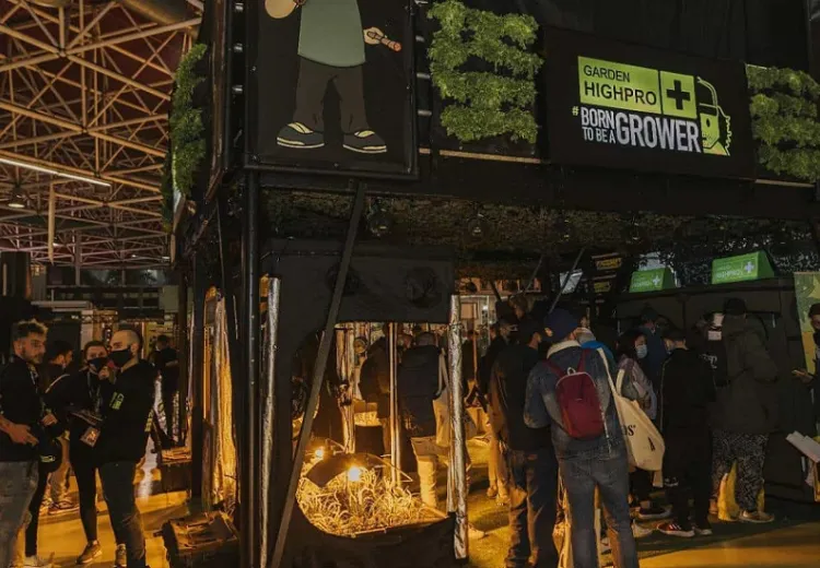 西班牙大麻展览会