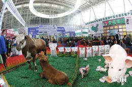 东北牧博会现场图片8