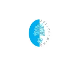 德国法兰克福造纸工业展览会