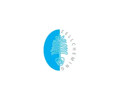 德国纸业展logo