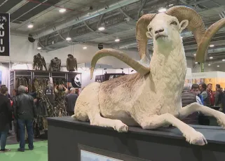 西班牙狩猎展2026展商名录