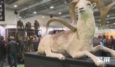 西班牙狩猎展2026展商名录