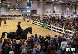 德国马术展现场图片1