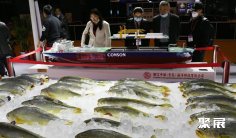 2025青岛渔博会会刊如何获取?