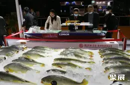 China Fisheries & Seafood Expo (Qingdao) on-site exhibition (highlights)6