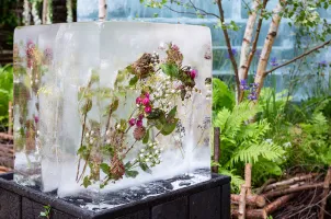 2025英国花卉展参展商名录