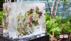 2025英国花卉展时间地点