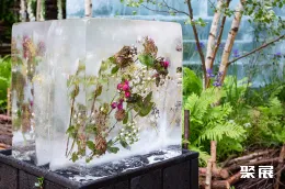 英国花卉展现场图片11