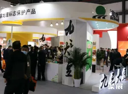 中豆展现场图片4