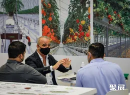 墨西哥园艺展展会现场(现场盛况)10