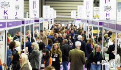 英国伯明翰食品饮料加工包装机械展览会(Foodex Manufacturing Solutions)展商名录