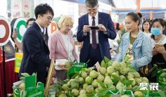 2025年越南农机展门票多少钱,怎么购买?