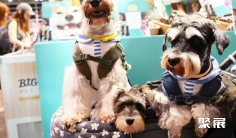 2026香港宠物展 (Premium Pet Supplies Expo)参展攻略(时间地点+门票价格)