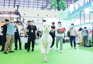 济南宠物展现场图片2