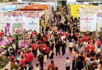 上海花卉园艺展2025时间及地点