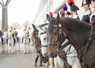 意大利马术展2026时间地点