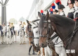 意大利马术展现场图片3