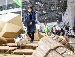 东京宠物展现场图片11