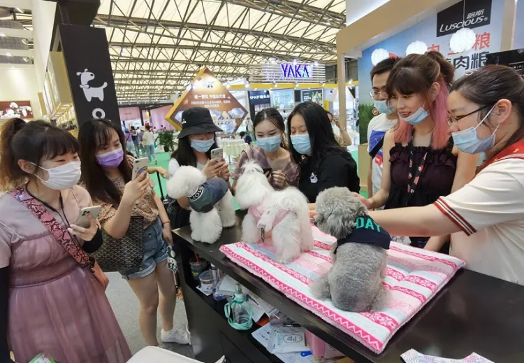 深圳亚宠华南宠物用品展