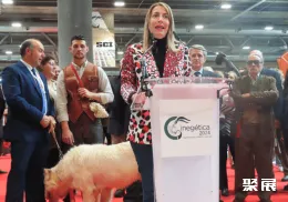 西班牙狩猎展现场图片3