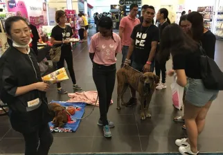 马来西亚宠物展现场图片1