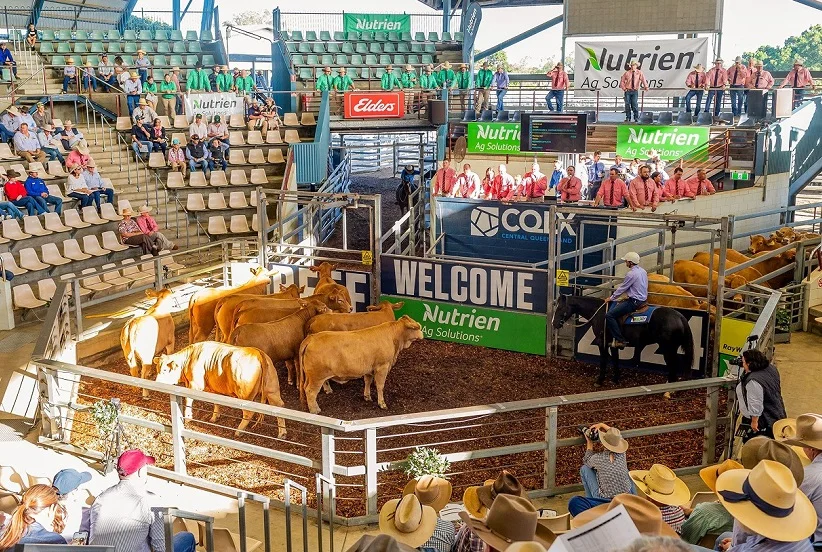 2027澳大利亚肉类展观众登记及登记方式