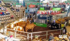 2027澳大利亚昆士兰州牛肉产业及肉类加工展览会展品范围