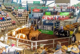 澳大利亚肉类展现场图片5