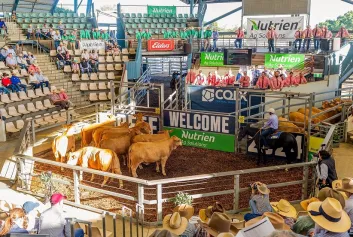 2027澳大利亚昆士兰州牛肉产业及肉类加工展览会展品范围