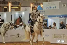 迪拜马术展现场图片4