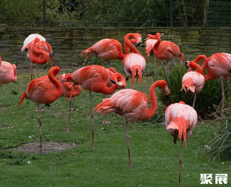 法國巴黎花卉公園展館圖