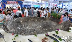 福建渔博会2026时间表及地点