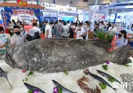 福建渔博会现场图片4