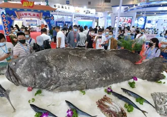 福建渔博会2026时间表及地点