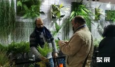 全国婚庆道具展(WFDF)2026时间表及地点