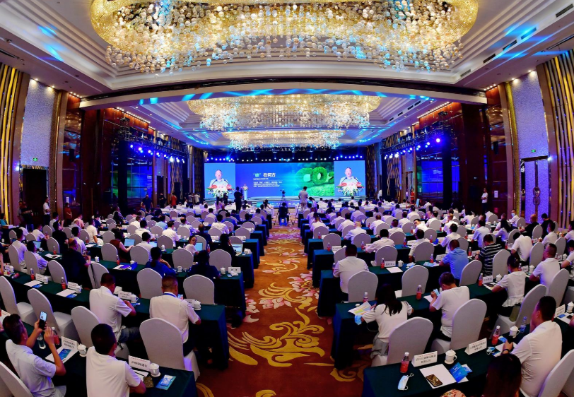 酒博会现场图片2