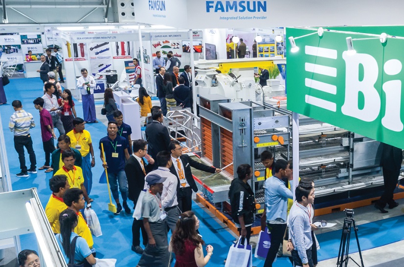 越南家禽展现场图片1