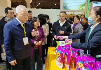 上海国际农产品博览会2025时间表及地点