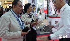 2026年埃及建材展(Egypt Projects)门票多少钱,怎么购买?
