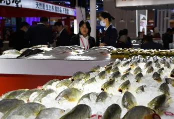 中国青岛国际水产养殖展2024时间地点、门票购买/入口!同期举办青岛渔博会(14万平方米)