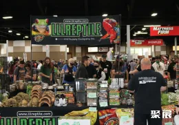 美国爬宠展现场图片6