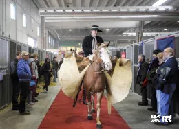 意大利马术展现场图片6