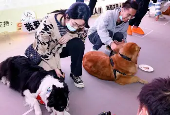 2024重庆宠物展展商名录会刊